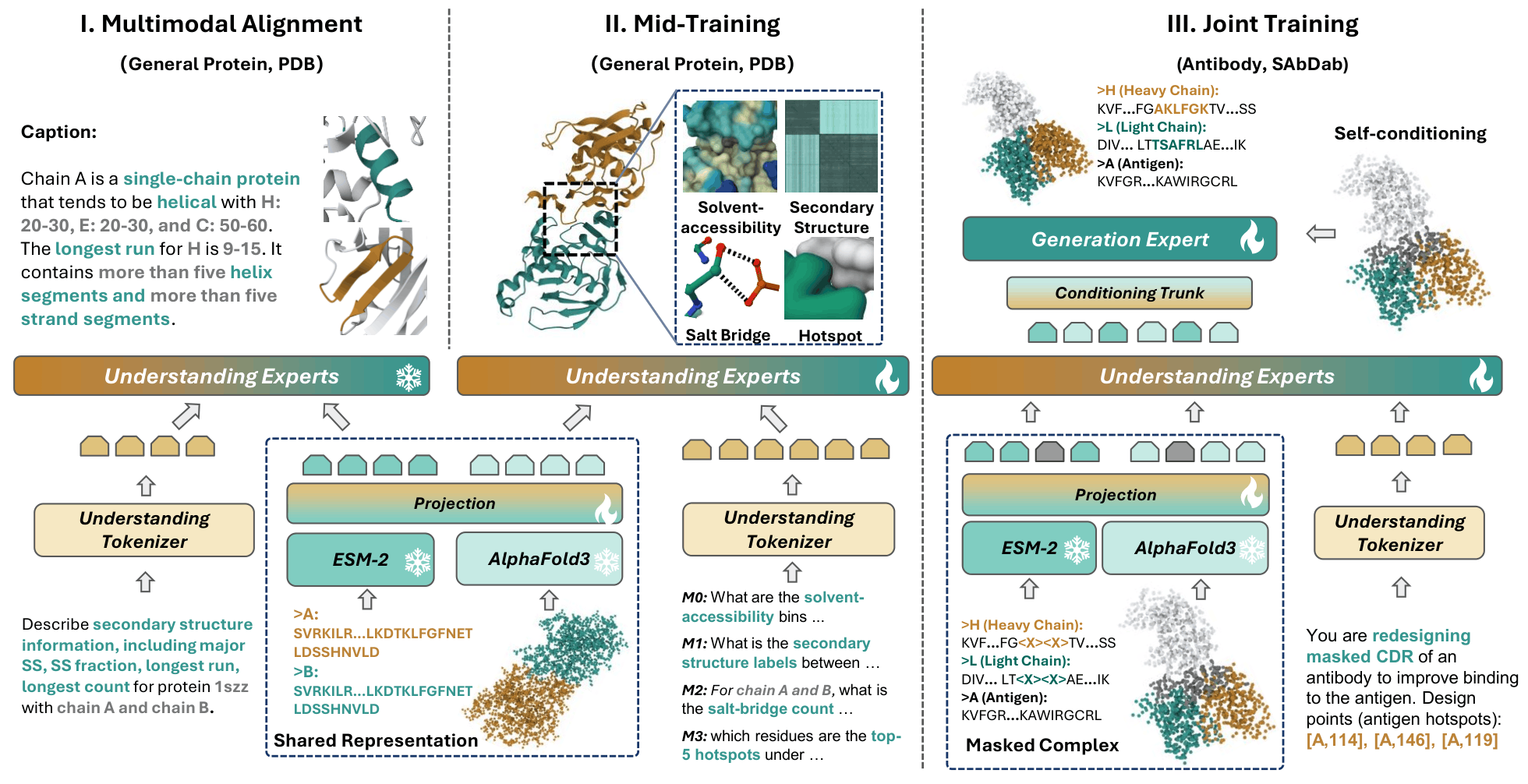 Proteo-R1 method overview: dual-expert architecture coupling a multimodal reasoning expert with a diffusion-based generation expert.